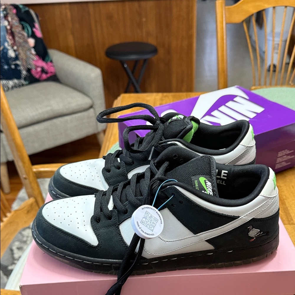 Sb dunk pigeon